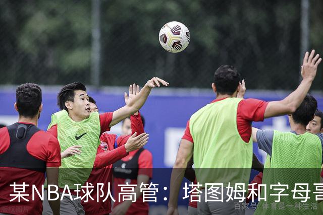 某NBA球队高管：塔图姆和字母哥的上限极高 但是球队会缺乏深度